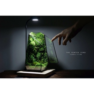 TerraLiving Vertex Zero Size L (33x15x15cm