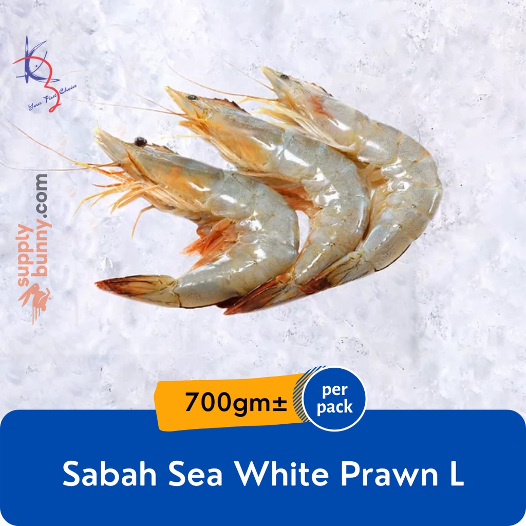 Sabah Sea White Prawn (L) 15-20pcs 700g± (sold per pack) 沙巴明虾 Udang Laut Putih - Kaizer Frozen Seafood