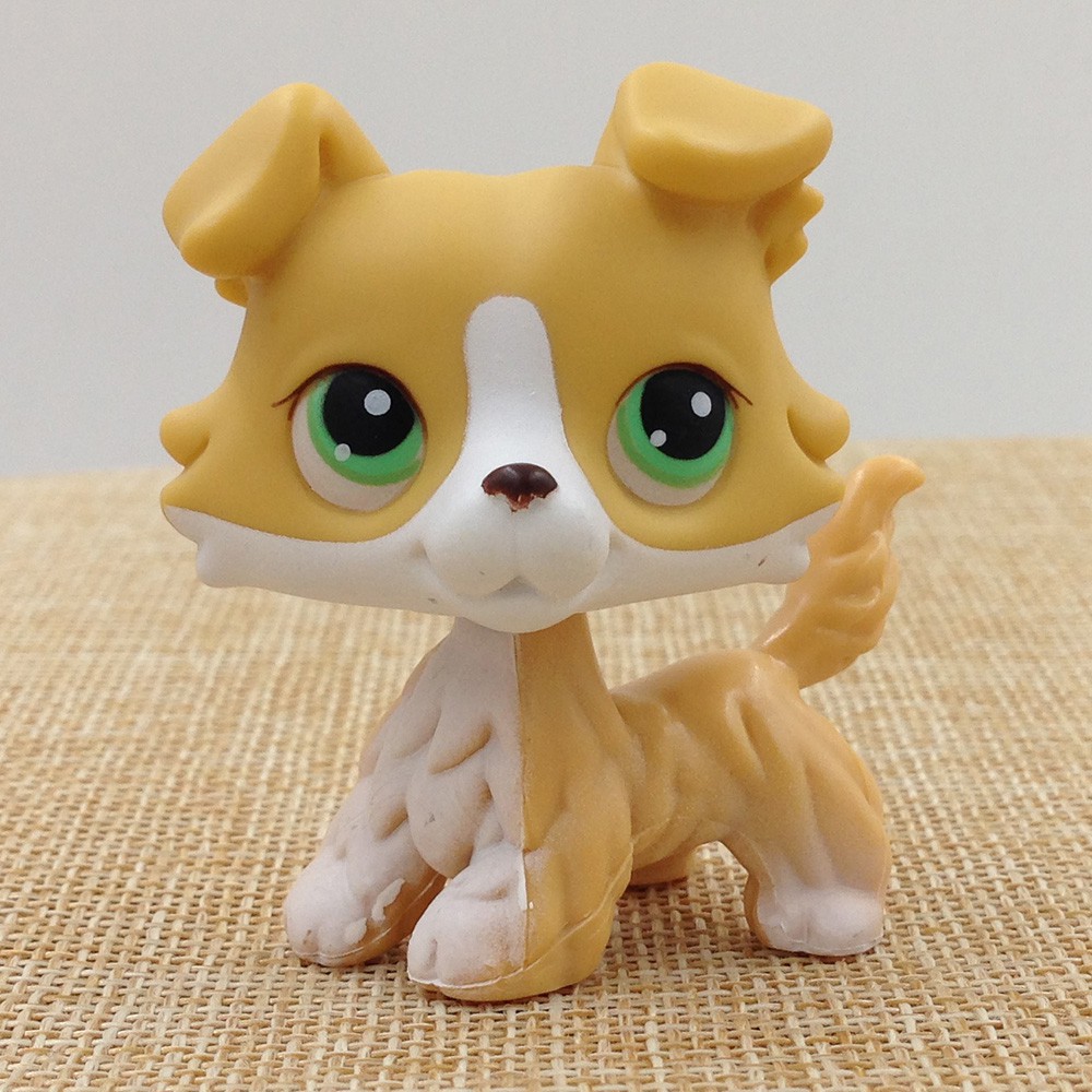 lps boy collie