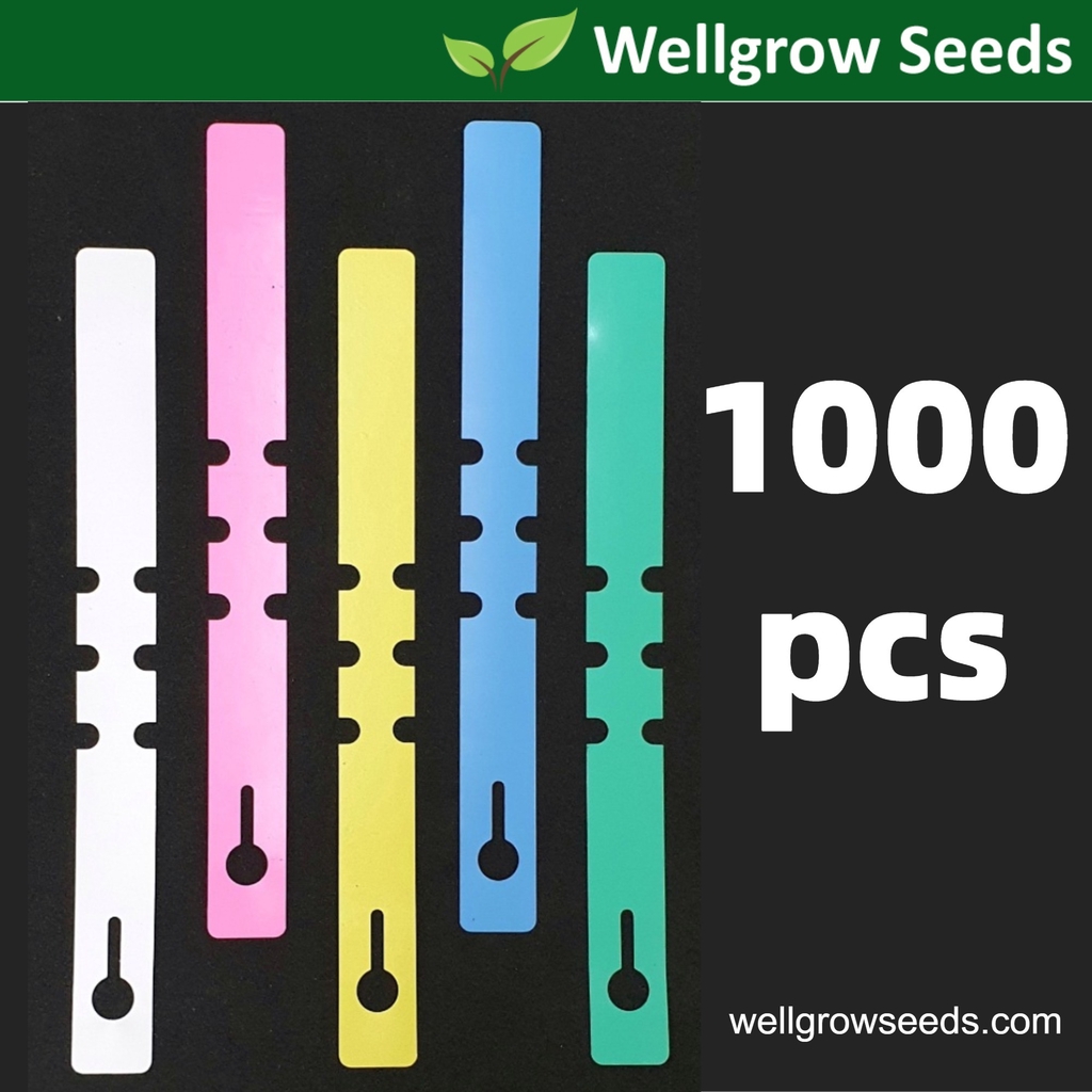 1000pcs Plant Label/Plant Tag/Tree Label/Fruit Marker/Penanda Pokok/Gardening Label/Waterproof/High Quality Plastic PVC