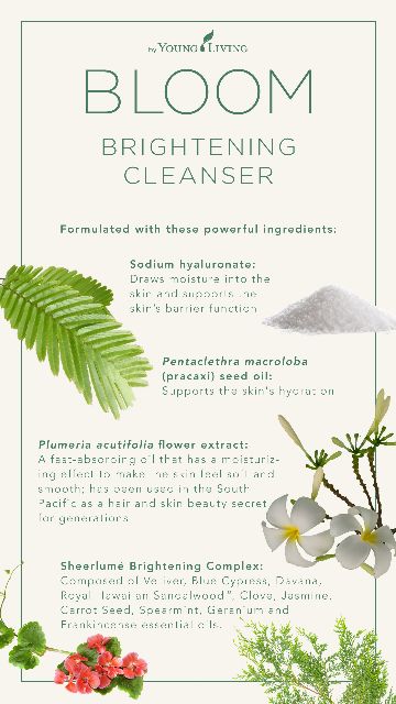 bloom skin care