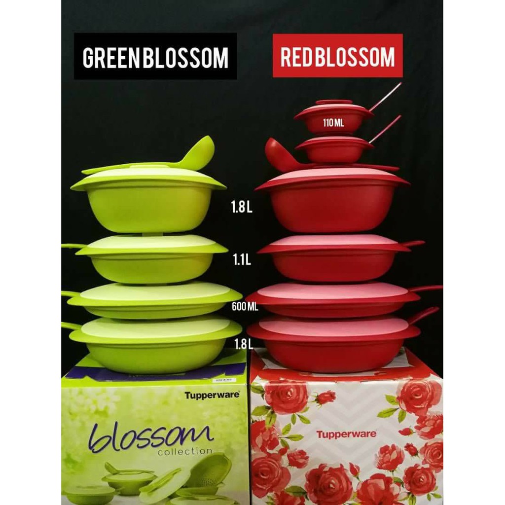 Tupperware : Serving Set Red / Green Blossom [Microwaveable]