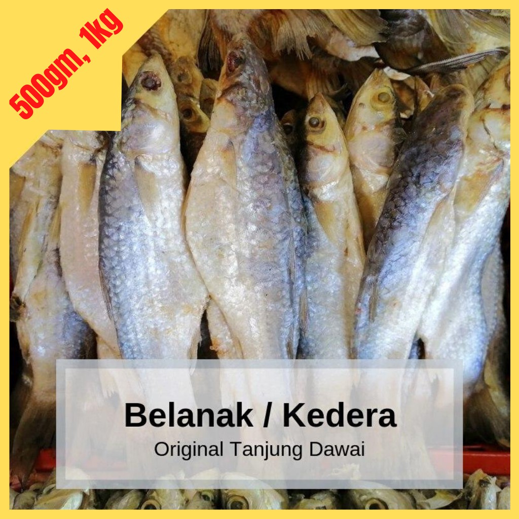 Ikan Belanak Masin Ikan Kedera Masin Ikan Kering Tanjung Dawai Shopee Malaysia