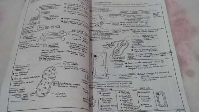 Nota Ringkas Biologi Tingkatan 4 Kssm