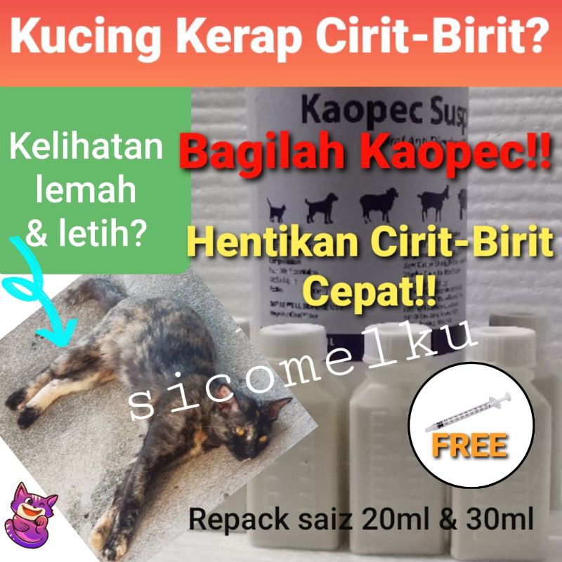 Ubat Hentikan Cirit Birit Kucing Arnab Kaopec Repack 30ml Percuma Picagari Shopee Malaysia