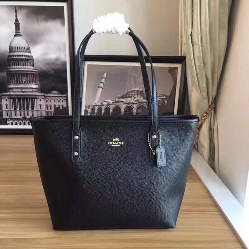 coach mini tote