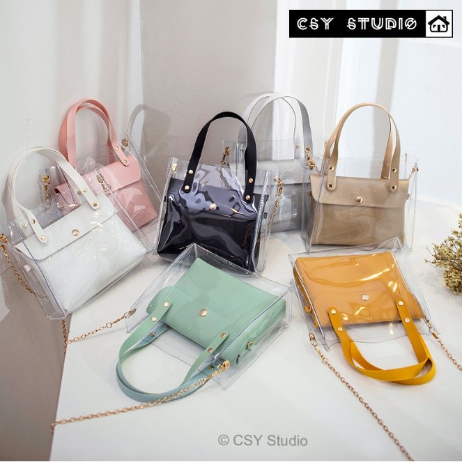 clear birkin bag