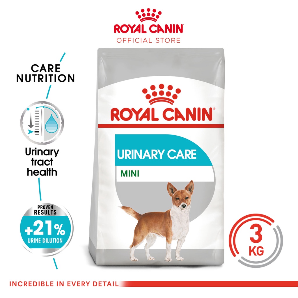 Why Is My Dogs Urine So Diluted