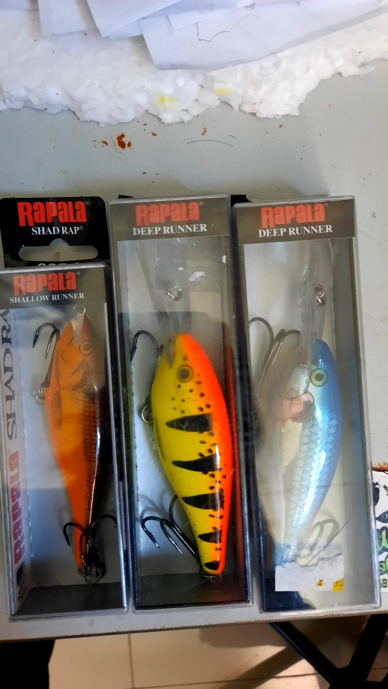 上等な ラパラ Rapala シャローシャッドラップ 9cm 12g パーチ SHALLOW SHAD RAP SSR9-P  pariser-flair.de