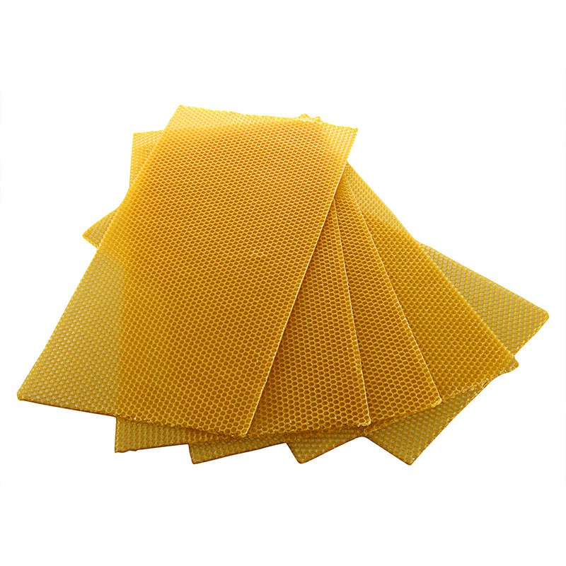 Comb foundation Bees wax Beekeeping For Apis mellifera Apiculture 10pcs Durable 