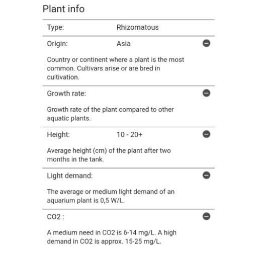 Buy Official Dealer Tropica 1 2 Grow Bucephalandra Kedagang 139b Tc Seetracker Malaysia