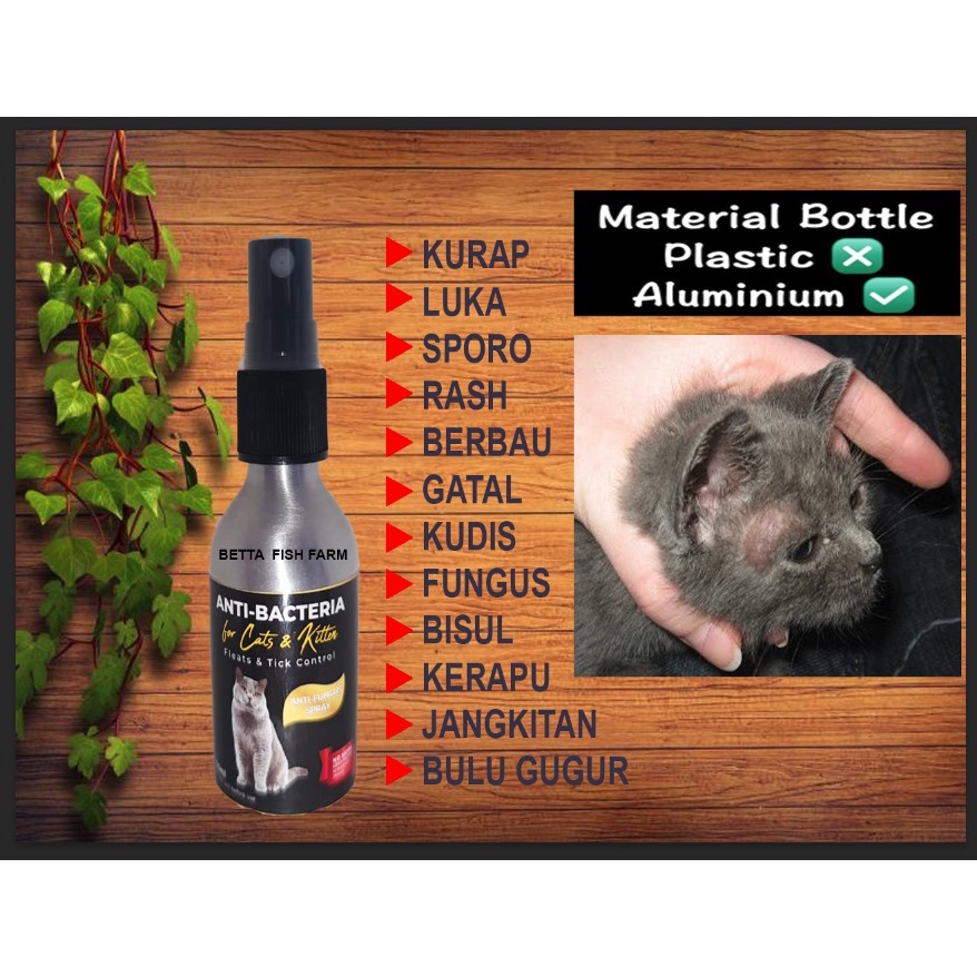 Ubat kurap kucing Ubat kutu kucing Aluminum FLURRY SPRAY 50ML Shopee