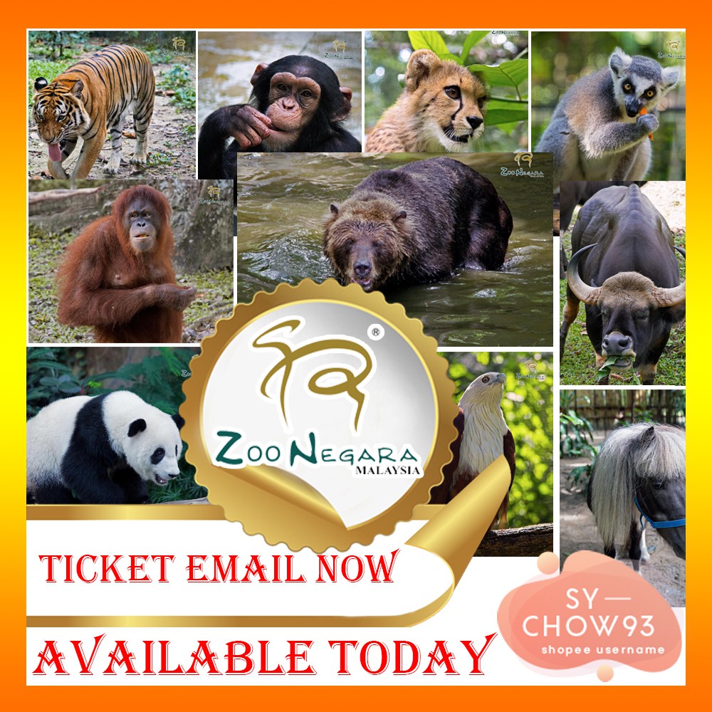 Ticket Email Now Tiket Zoo Negara Ticket Giant Panda Conservation Centre Entry Open Date Till 31 Dec 2020 Shopee Malaysia