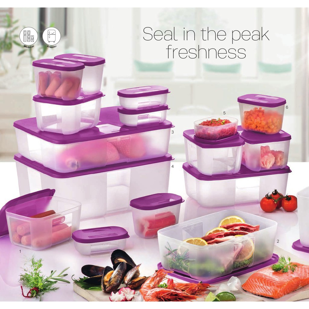 Tupperware Freezer Mate Set - Purple (16 Pcs)