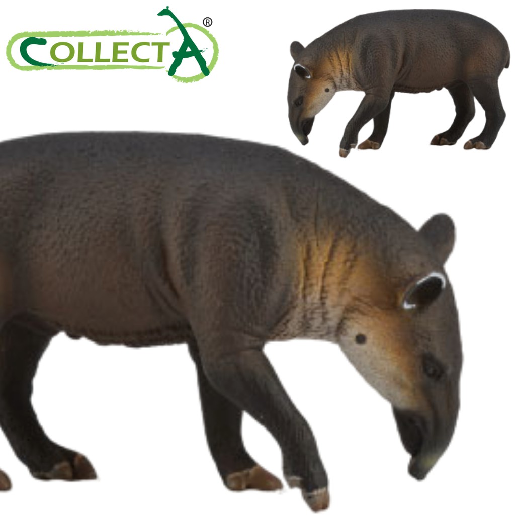 Collecta 88597 Baird's Tapir Calf Miniature Animal Figure Toy 