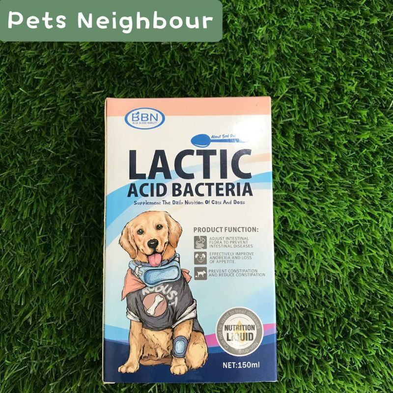 BBN LACTIC ACID BACTERIA SUPPLEMENT THE DAILY NUTRITION OF CATS AND