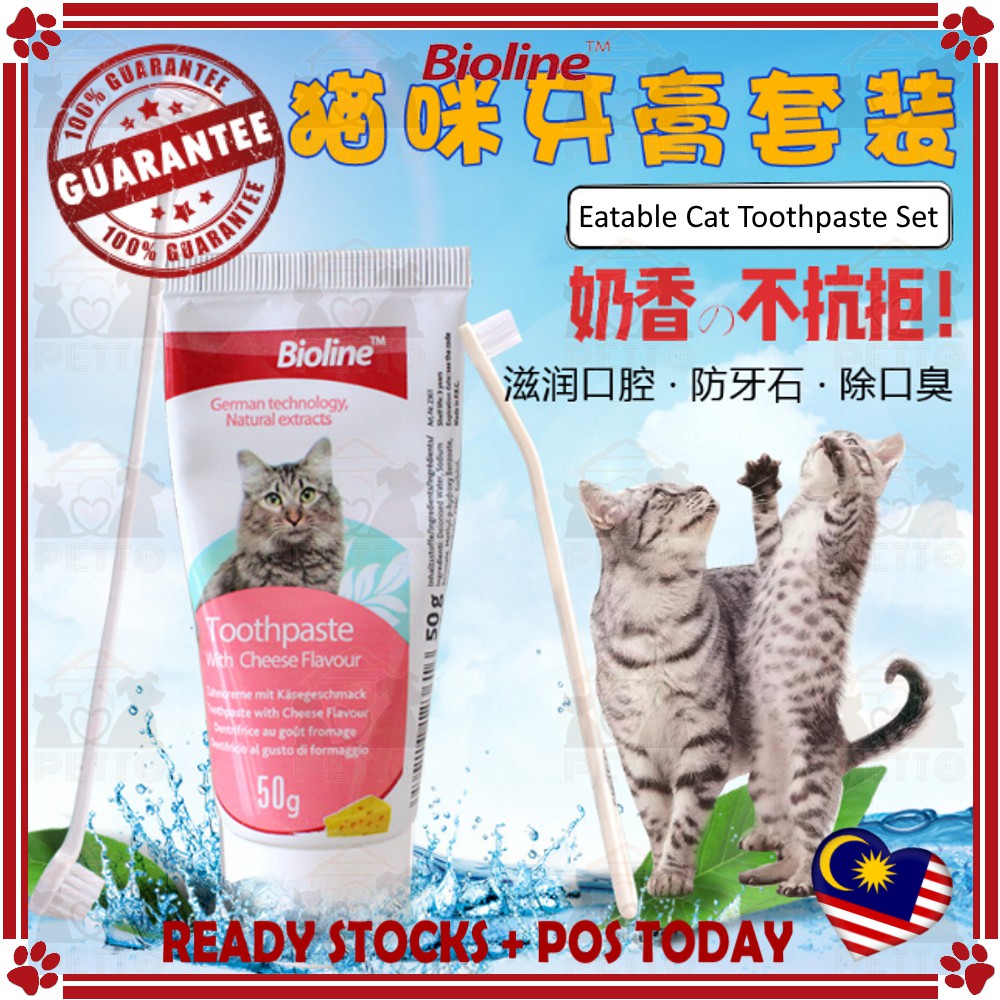 cat toothpaste and toothbrush
