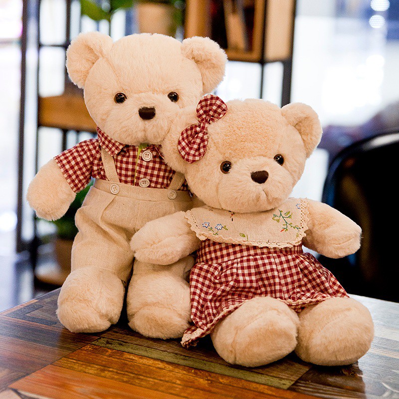 small couple teddy bear