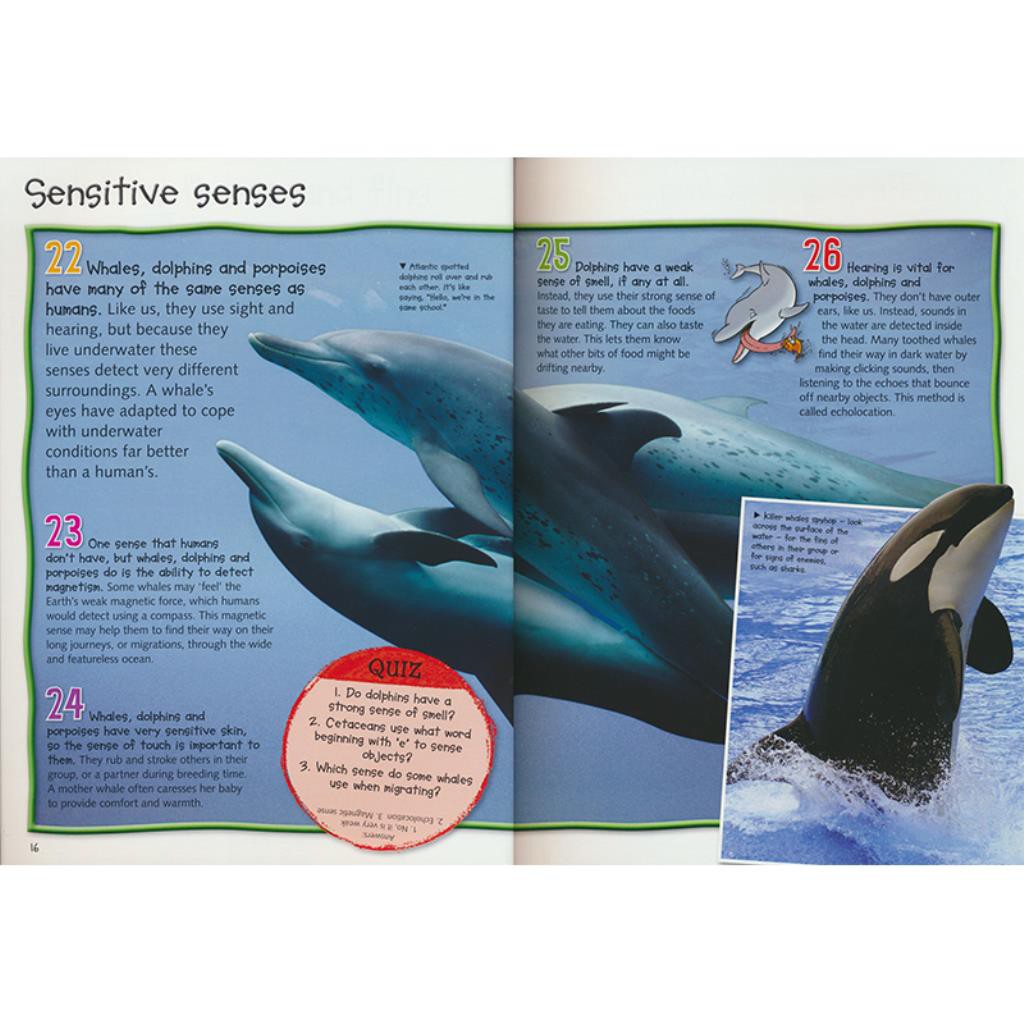 100 Facts Whales Dolphins 100 Facts Series Whales And Dolphins Encyclopedia Of Children S English Encyclopedia Of Scie Shopee Malaysia - roblox whale head