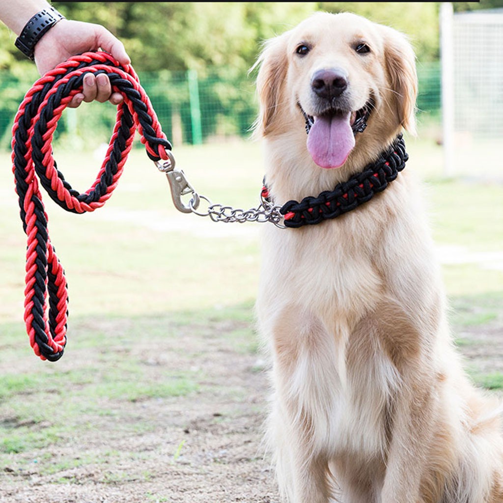 thick chain dog collars