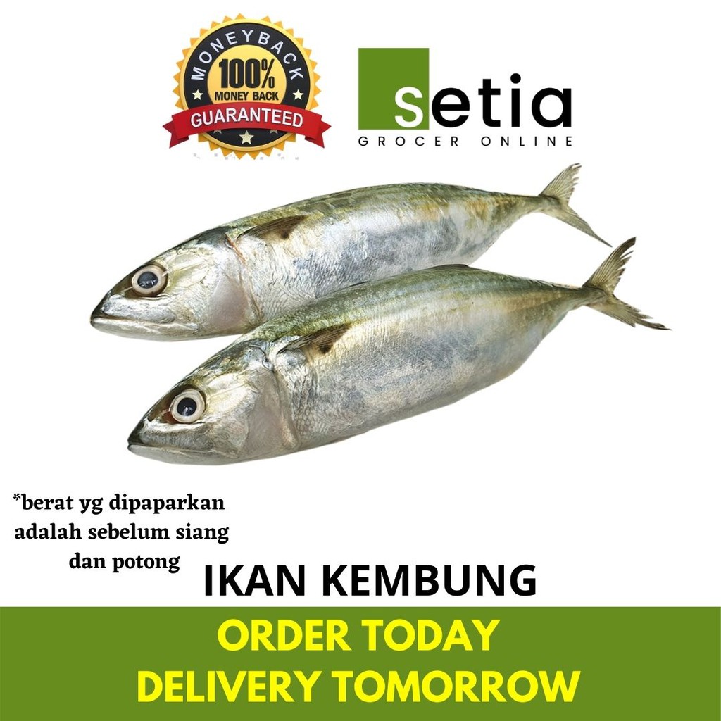 Ikan kembung