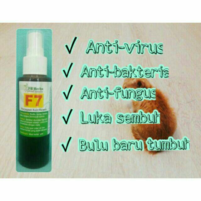 PS Herbs Ubat kurap, kudis, fungus kucing anjing (Spray F7 