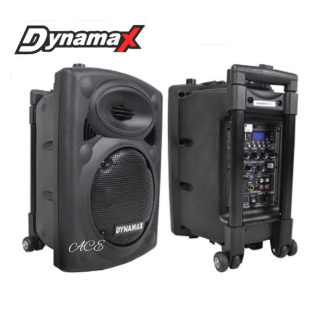 portable pa system with 2 wireless microphones