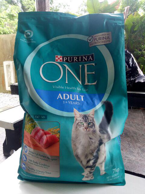 Astonishing Best Fresh Cat Food Delivery Service Stock