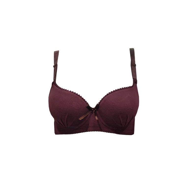 Hari-Hari - EV FASHION Women's Push Up Bra A Cup / Wired / Baju Dalam ...