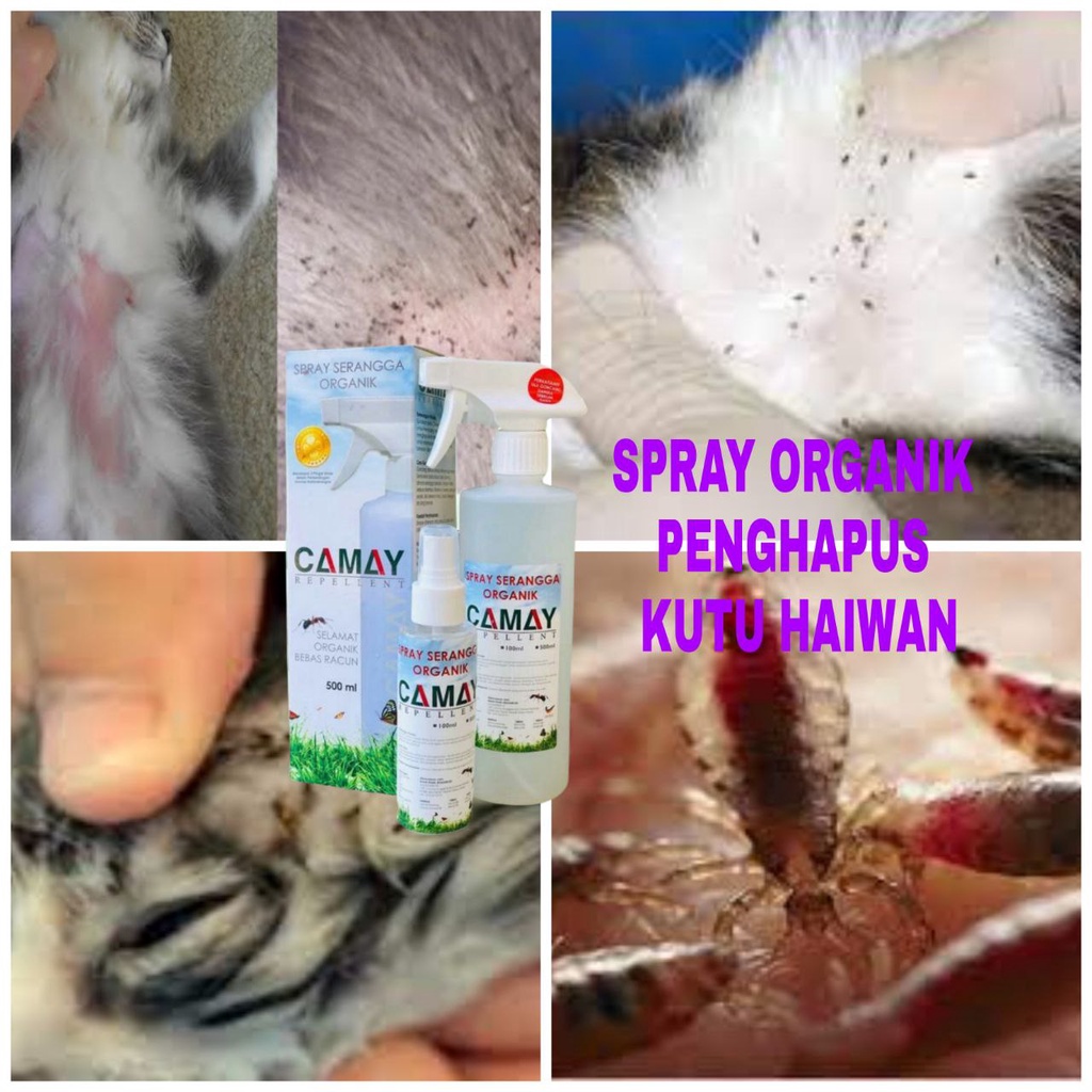 SPRAY KUTU KUCING ORGANIK, SELAMAT, BERKESAN 200ml DAN 500ml Shopee