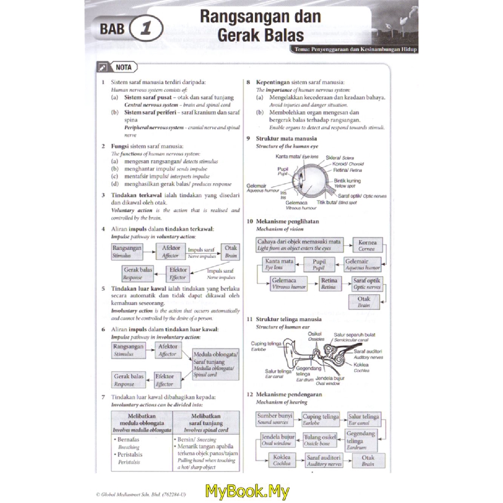 Buku Teks Sains Tingkatan 3 Bab 10