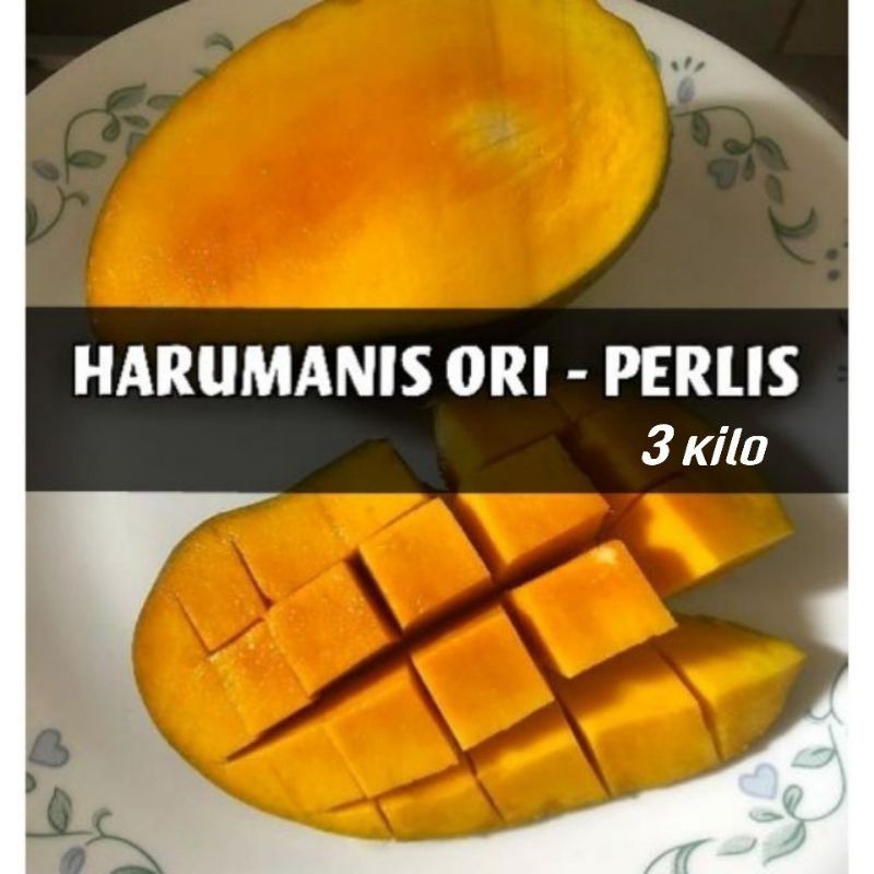 Mangga Harum Manis Perlis