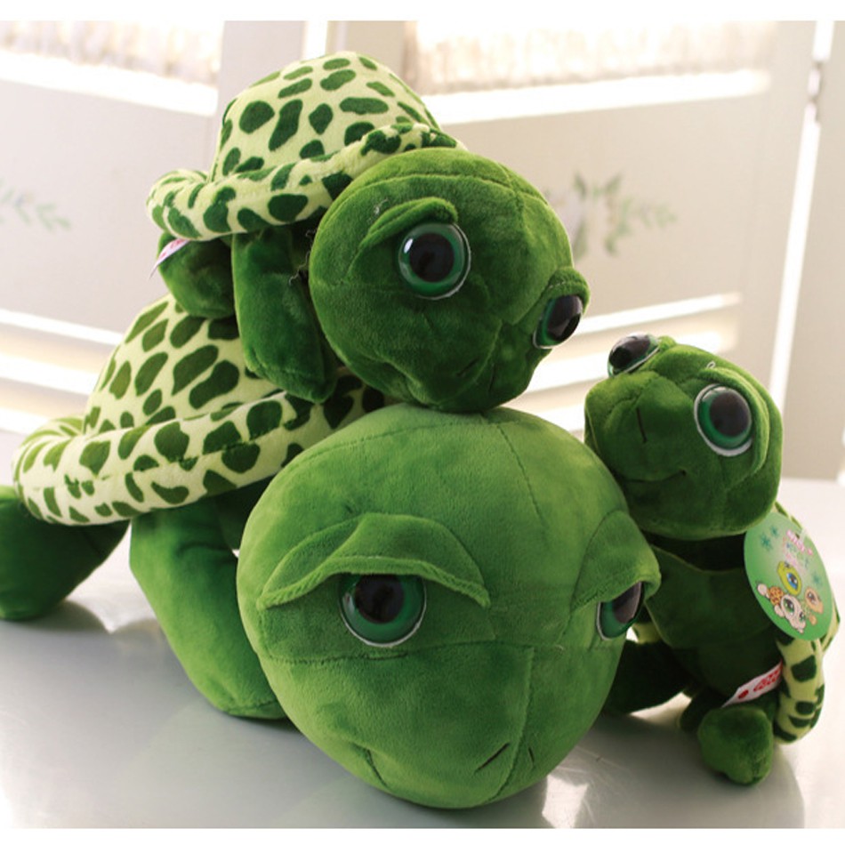 big eyed turtle plush