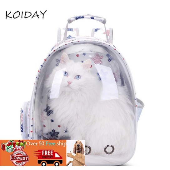 cat transparent backpack