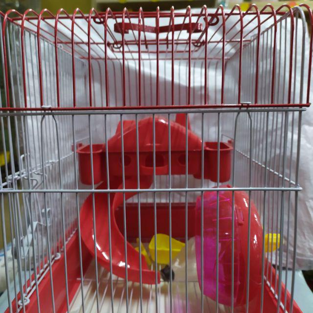 Sarang Hamster Dan Sugar Glider Shopee Malaysia