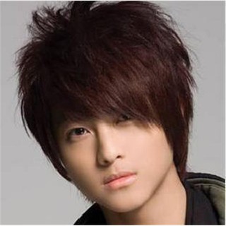 Han Edition Star Model Short Hair Male Hairstyle Men Wig Inclined Bang Fluffy False Handsome Head Nature