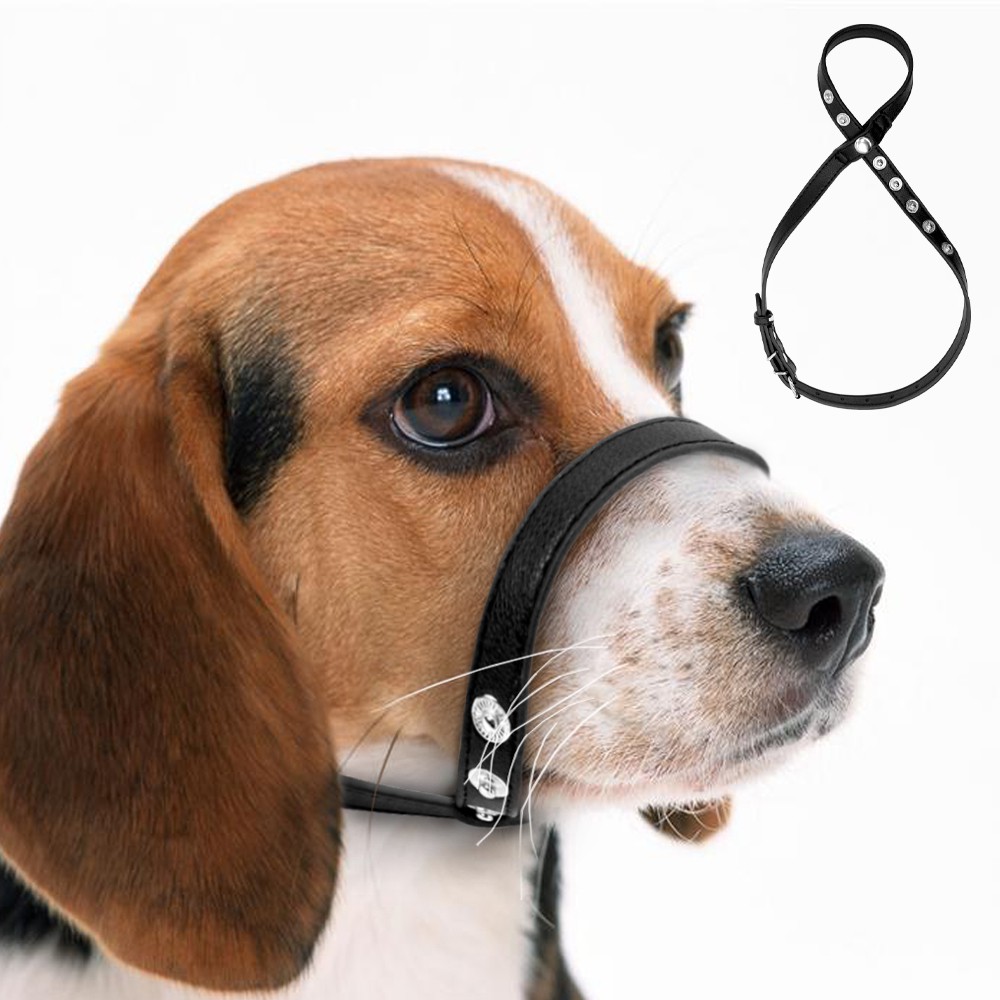 puppy muzzle for barking