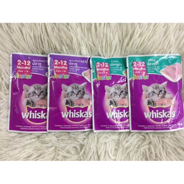 EZPETS Whiskas Cat Food Pouch Junior 80g Cat Wet Food Cat Treat 