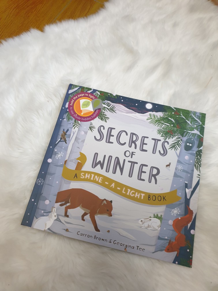 Ivy Kids) Secrets of Winter a Shine-a-light Book (Paper Back) | Shopee  Malaysia
