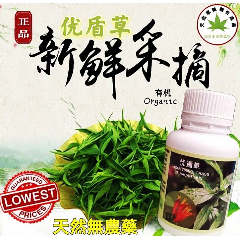 优盾草純天然草藥胶囊 有效帮助您抗癌 治疗癌症与多种疾病的草药