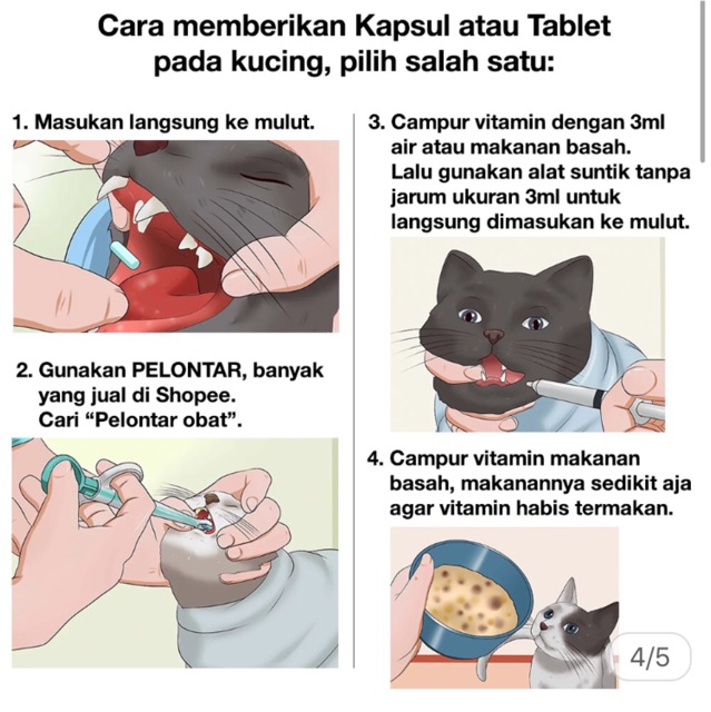 4 In 1 Ubat Demam Selsema Cirit Birit Pernafasan Kucing Octamic 4 In 1 Fever Flu Diarrhea Breathing For Cart Shopee Malaysia