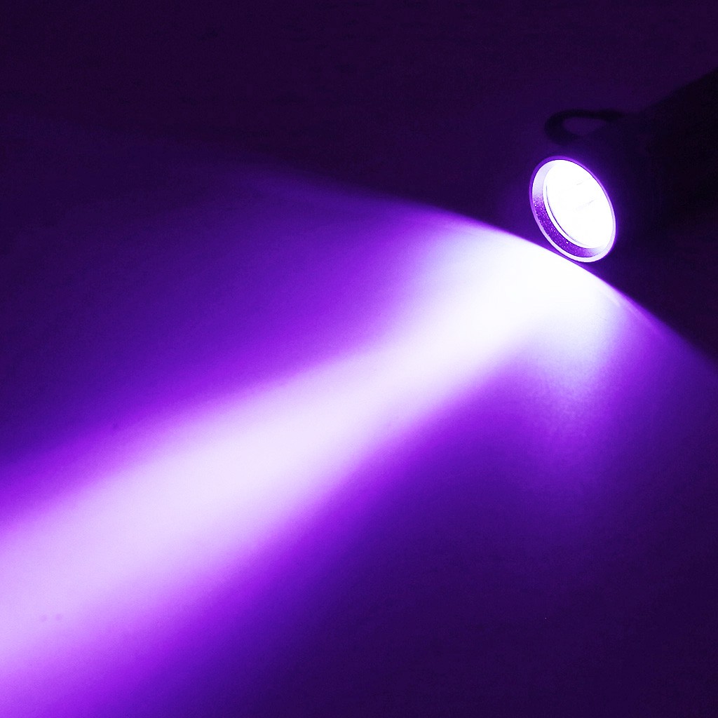 UV Ultra Violet 12 LED Flashlight Blacklight Light 395 nM Detection Lamp Torch