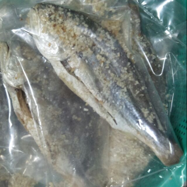 Ikan gelama