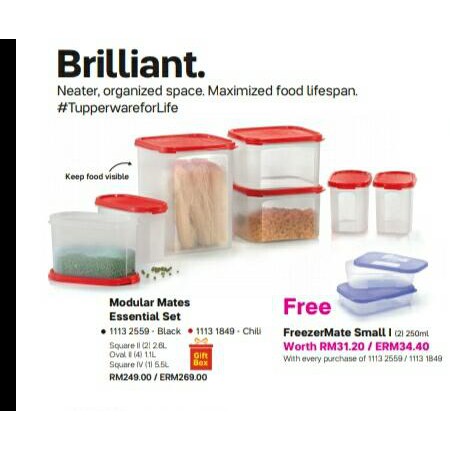 Tupperware Modular Mates Essential set