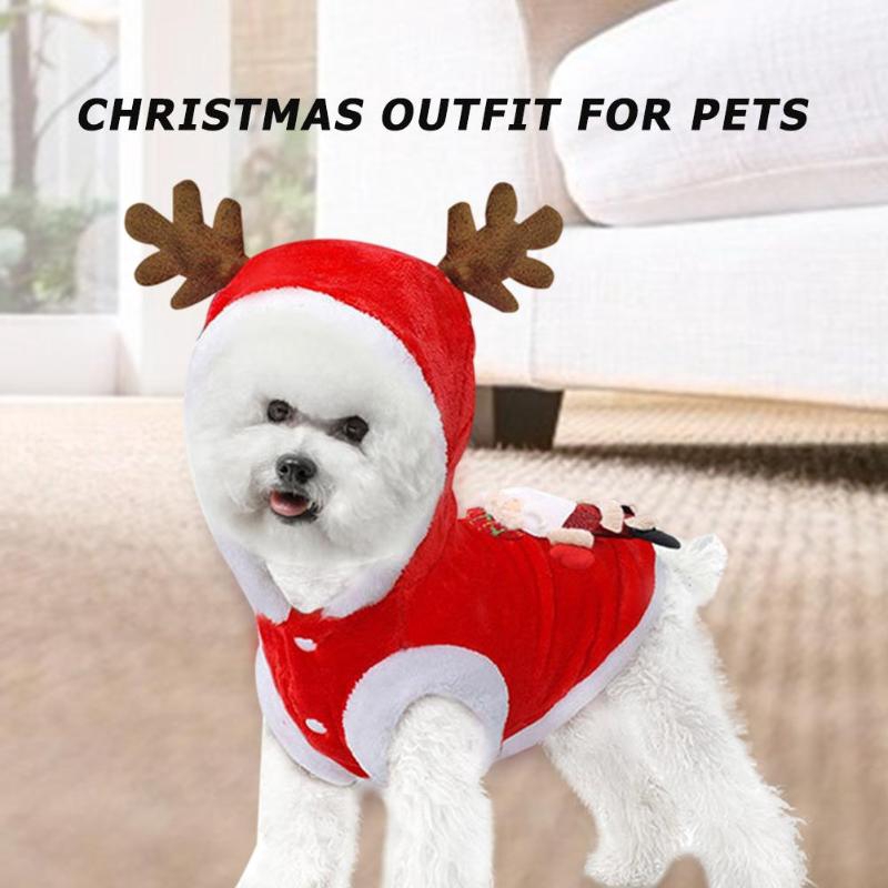 large dog christmas coat