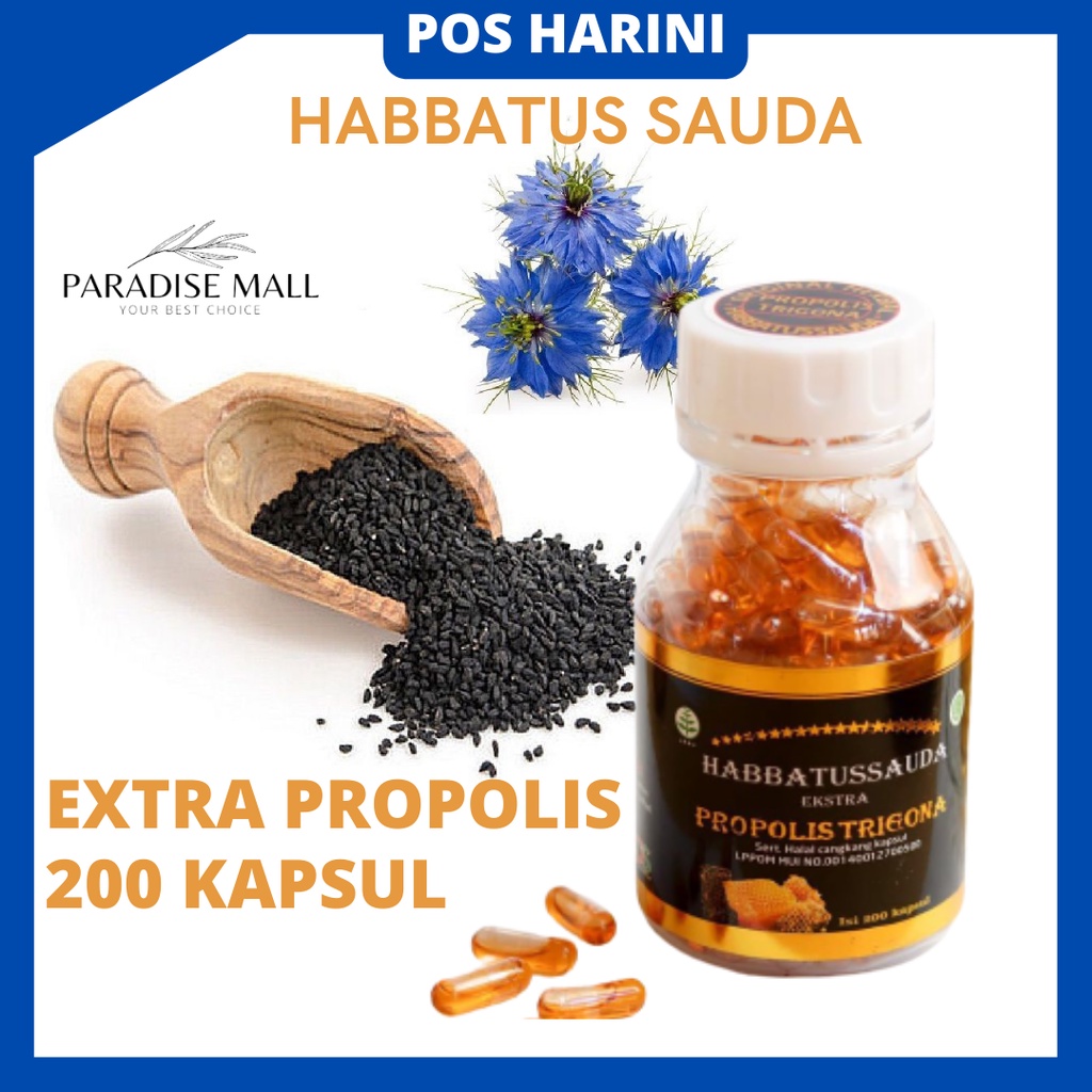 Extra Propolis Trigona Habbatussauda Habbatus Sauda Habatussauda Sauda ...