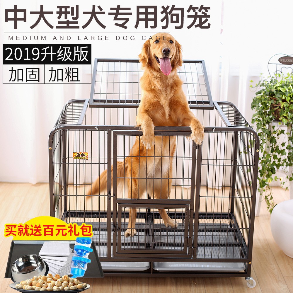 golden retriever cage