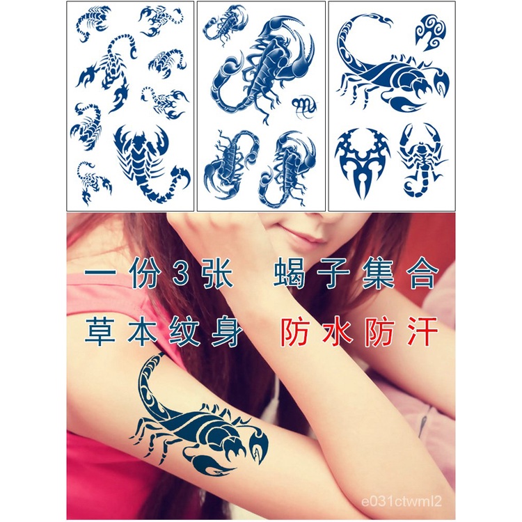 ✈️Hot Sale Tattoos ✈️Herbal Semi-Permanent Tattoo Sticker Scorpion Men and  Women Waterproof and Durable Simulation Tatto | Shopee Malaysia