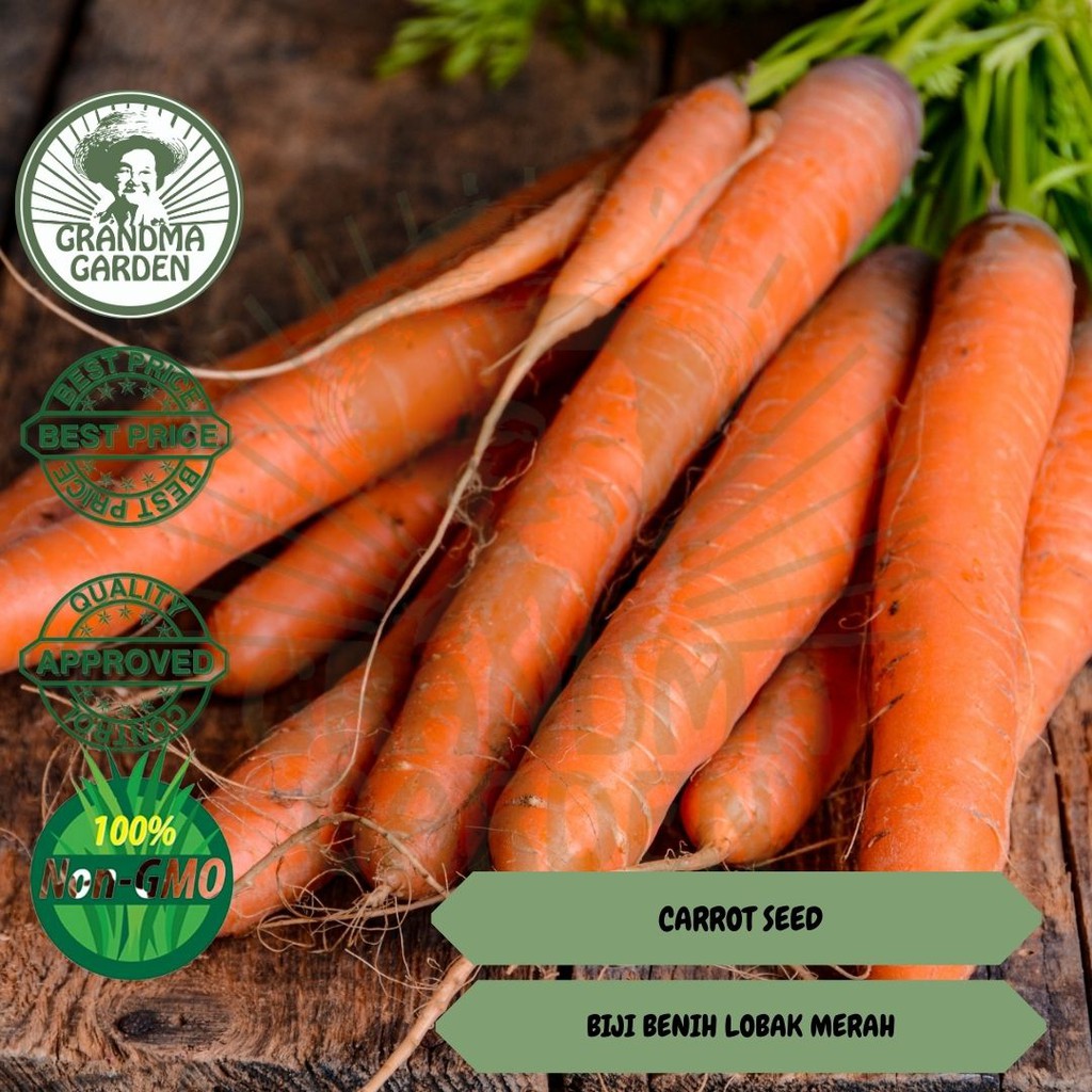 Beli 10 Free 1 Biji Benih Lobak Merah Carrot Seed 1g Around 1 Tea Spoon Grandma Garden Shopee Malaysia