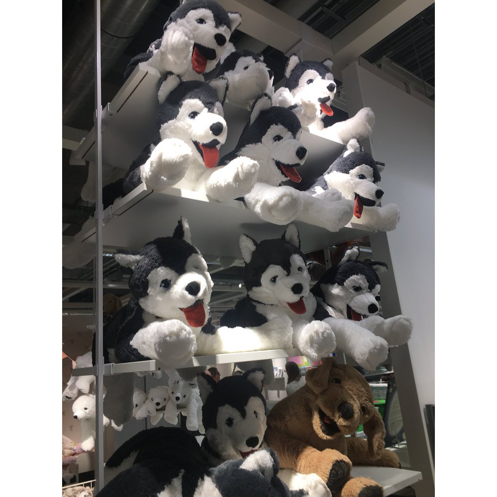 husky teddy ikea